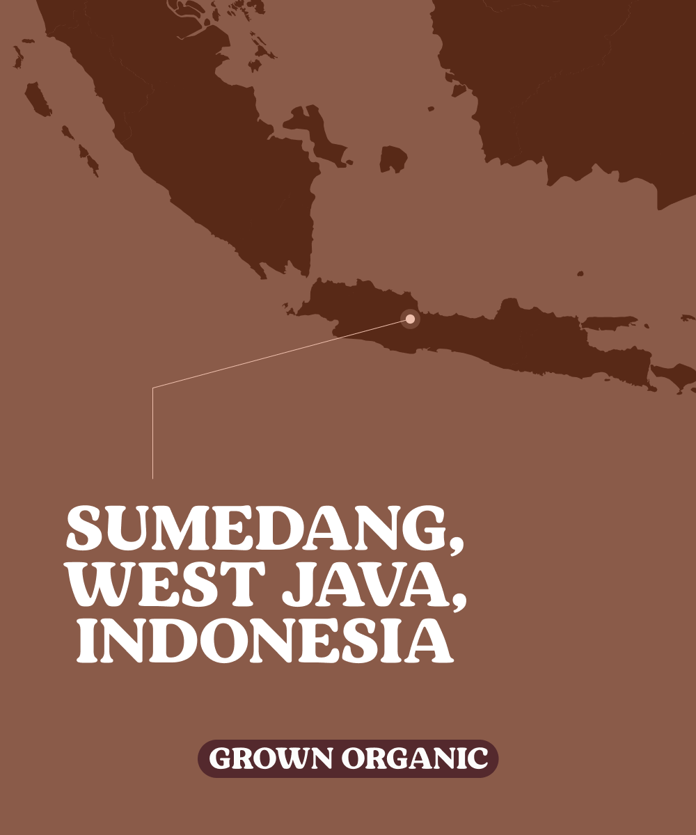 The Mad Cat Cacao 80g