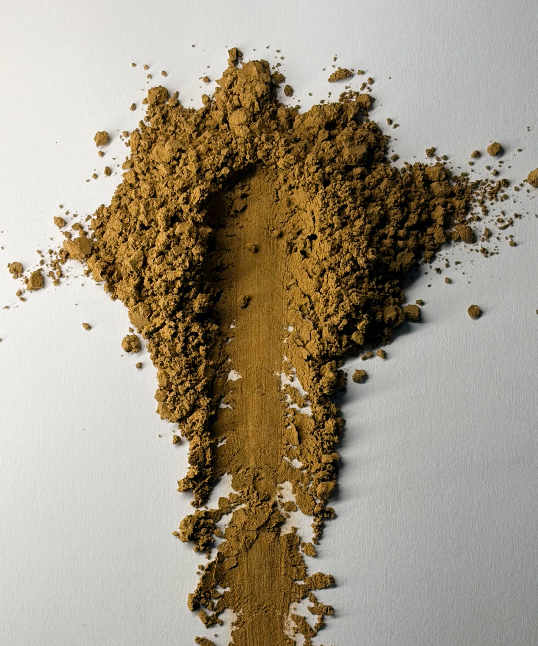 Graceful Hojicha 50g