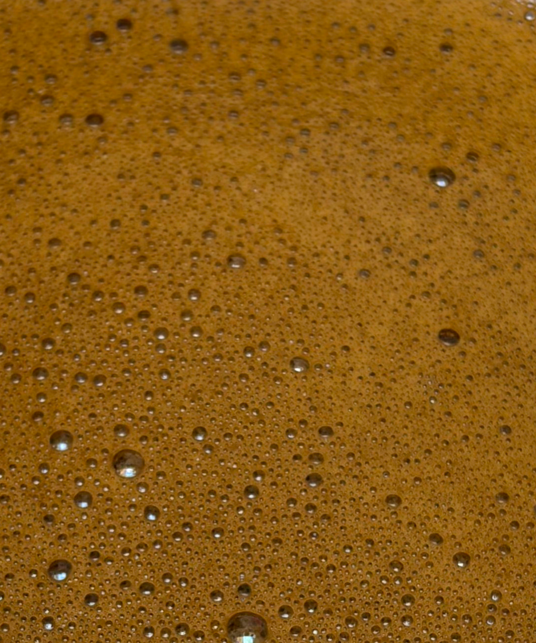 Graceful Hojicha 50g