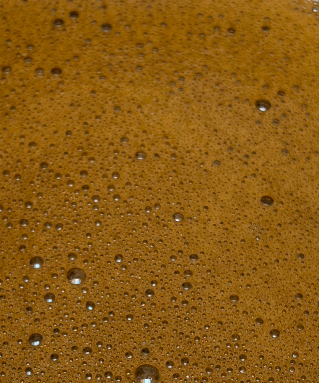 Graceful Hojicha 50g