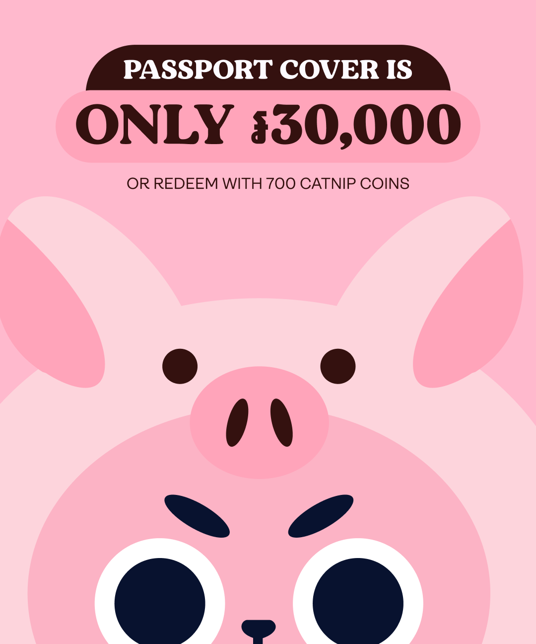 Meecho Pig Passport Case